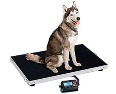 Veterinary Scales Veterinary Scales